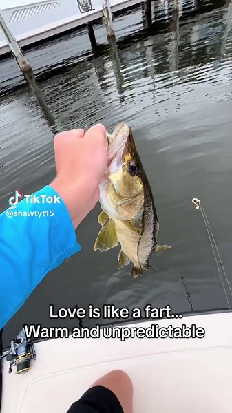 Fish#fyp #fart #love