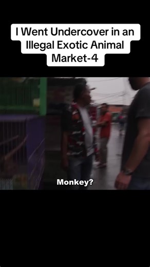 Undercover Investigation of Illegal Exotic Animal Markets
