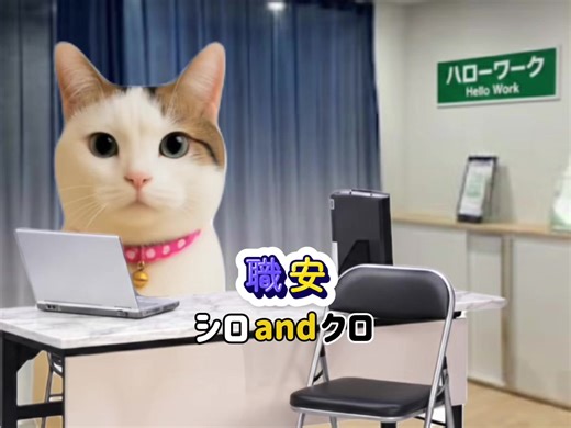 シロとクロのおもしろコント第40弾！ 笑顔で素敵な週末を迎えてね〜✨🍀😺 #猫 #猫おもしろ動画 #猫のいる暮らし