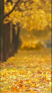 4.6K views · 136 reactions | Singapore waste management system #science #sciencefacts | Abhi Kumar | Facebook