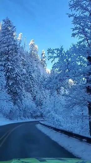 518K views · 25K reactions | Oak Creek Canyon looked like an absolute Winter Wonderland yesterday based on this video sent to us by Heber Martinez! ❆ | ABC15 Arizona | Facebook
