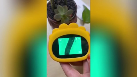 Mini Microscope for Kids, 2" IPS Screen Handheld Pocket Mini Microscope HD, 1000x Handheld Digital Microscopes for Exploration, with Photo & Video, Science Edu Toy, Gift for Girls Boys (Brown)