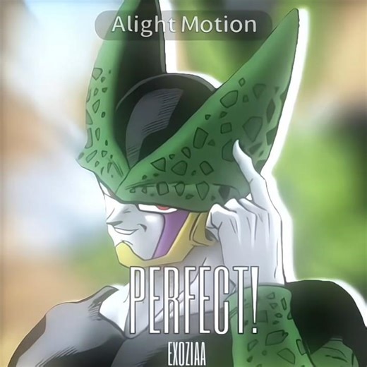 Perfect Fr🔥#edit #dragonballz #shorts