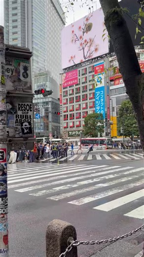渋谷のスクランブル交差点。引き分けでこの喜び。気持ちはわかるけどいいのか悪いのか。ただ騒ぎたいだけかな😊