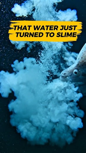This Fish Turns Water Into SOLID SLIME in Seconds! 🤢 #WeirdNature
