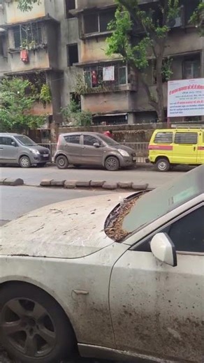 The abounded BMW ! Part 1