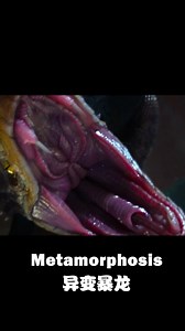 1.6K views · 13 reactions | Mutant Tyrannosaurus Rex vs. Python #冒险 #变异暴龙 #电影 | 电影屋 | Facebook