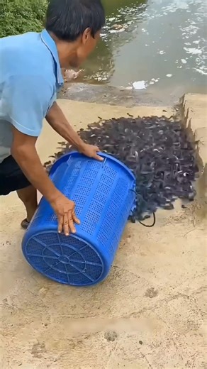 floating fish farming 😱 #cbum #shorts