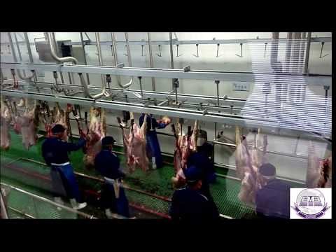 sheep/goat/lamb slaughter line preskinning unit BY EME abattoir equipment