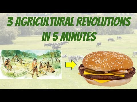 3 Agricultural Revolutions in 5 Minutes!!!