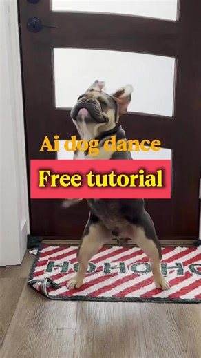 How to Make the Same Dog Dancing Video as in the Clip How to Generate This Dog Dancing Video How to do Dog Dancing tutorial how to make ai Dog Dancing effect filter photo how to get ai Dog Dancing sway filter effect free how to edit ai Dog Dancing effect filter photo fast & easy how to sync ai Dog Dancing sway filter with sound how to adjust ai Dog Dancing sway filter intensity how to share ai Dog Dancing effect filter how to add music to ai Dog Dancing video how to animate Dog photo to dance ho