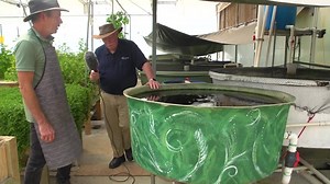 290 reactions · 32 shares | A swirl filter is an essential kit in a...