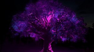 With our passion for growth, we enter the future with a commitment to bring prosperity in the lives of the people we serve! Stronger, Bolder, here to protect you, here to secure you. Introducing the new #EFULife. | EFU Life Assurance Ltd