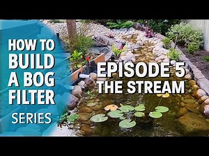 How to build a Bog Filter (Series) Episode 5 - Year Two - The Stream