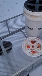 69K views · 386 reactions | Feeding our purebred Alaskan Huskies dinner time. Reading through the comments is hilarious it's free entertainment. Plus, it makes us money 螺 thanks for the contributions! #workingdogs #mushing #dinner #dogs #meat #peta #aspca #musher #raw | Endurance Kennels LLC | Facebook