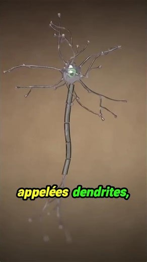 L'électricité dans ton cerveau : Vraiment ? Le secret minuscule mais puissant des neurones révélé...