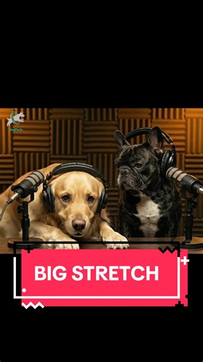 Do you say BIG STRETCH?! 😂