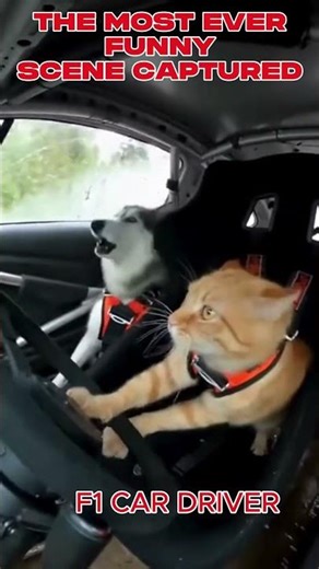 Perfect Timing Fails 😂 | Caught at the Right Moment | Viral Shortsfunny timing moments, epic timing