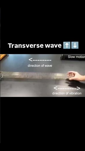 longitude wave #shorts