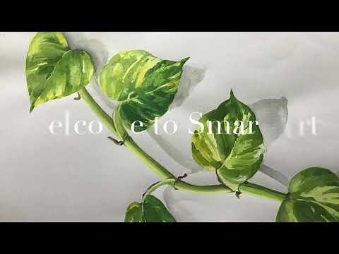 How To Draw & Paint Money Plant Using Water Colour