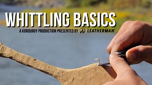 Whittling Basics - D-I-Why Not?