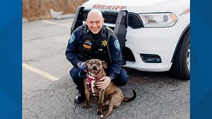 'Dog jailbreak' at Niagara SPCA leads to field trip for 6-year-old Bugsy