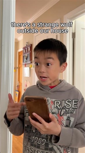 Strange Dancing Wolf Caught On Camera #shorts