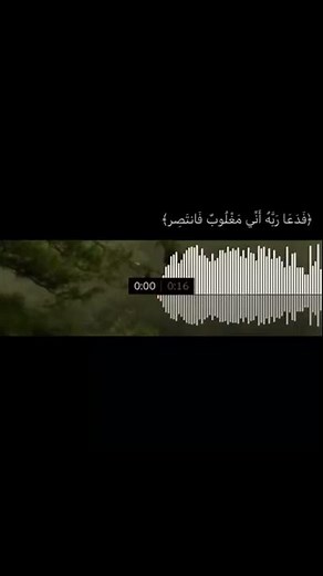 فَدَعَا رَبَّهُۥٓ أَنِّى مَغْلُوبٌ فَٱنتَصِرْ|ٳسلام صبحي