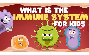 What Is the Immune System for Kids _ Learn all about how the body fights off bad