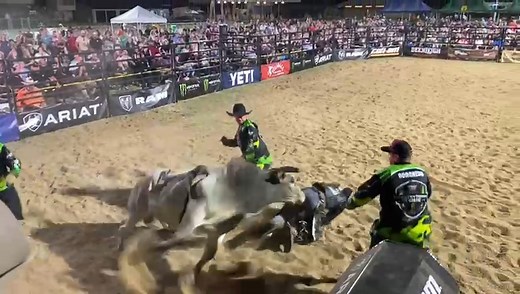 33K views · 520 reactions | When you are a former Australian Champion like Fraser Babbington is, riding your bull forwards is overrated!! | PBR Australia | Facebook