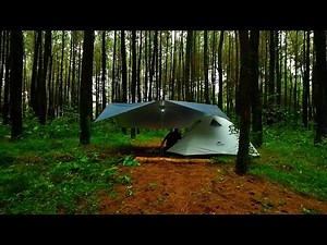 Cozy Camping Alone in the Woods — Cooking Steak for Dinner