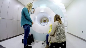 1.1M views · 1.9K shares | Ever wonder what's going on in your dog's head? Growing up with dogs, Gregory Berns began to wonder whether his pets reciprocated the same love and care he felt for them. As a neuroscientist at Emory University, he took his curiosity to the test. | Great Big Story | Facebook