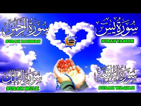 🔴 LIVE | Most Beautiful Quran Recitation | Surah Yaseen, Rahman, Waqiah & Mulk | Emotional Tilawat