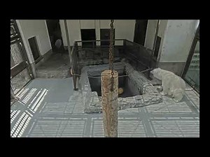 2022年7月28日のピース