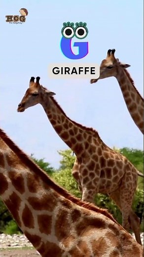 ABC Giant Animals song | Letter FGH | Learn Alphabets, English and Animals for Kids (Fun) #shorts