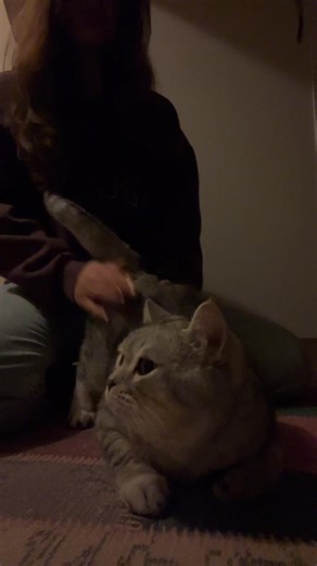 yicemm tipini #fypage #trend