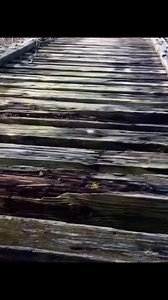 70K views · 906 reactions | Full Bridge Guy Video has been released. #truecrime #crimenews #delphimurders | True Crime Garage | Facebook