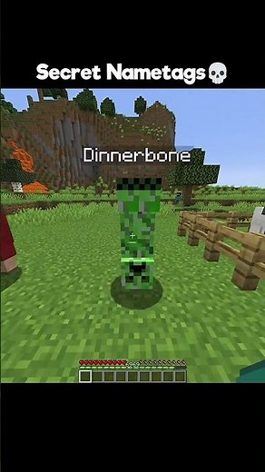 Minecraft Secrets #minecraft