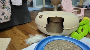 16K views · 2K reactions | Mama Uhura would like some quiet time... Shhh, don't tell the kittens where she is! | Love & Hisses | Facebook