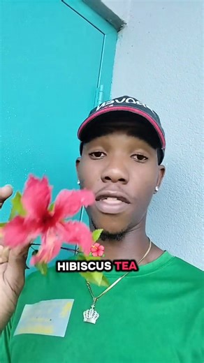 Surprising benefits of the hibiscus 🌺 leaf tea #viral #reels #hibiscus #herbs #jamaicanherbs #homeremedy #diabetes | DavidThe Herbalist