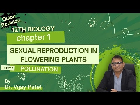 Pollination Full Explanation in english & Hindi | Sexual Reproduction in Flowering Plants | 12 class