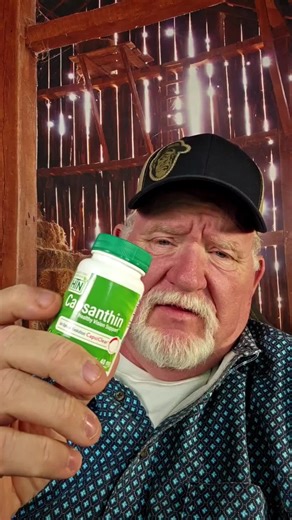 Top Supplements for Eye Health