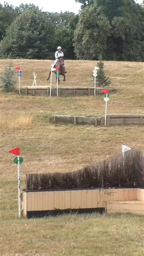 Elphick Event Ponies on Reels