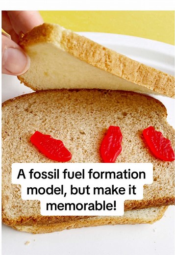 Fossil Fuel Formation: Engaging Model for Students