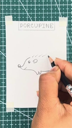 Easy Porcupine drawing #asmrart #asmrdrawing