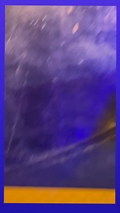 “She’s Out To Catch”😎 | Morris Day and The Time