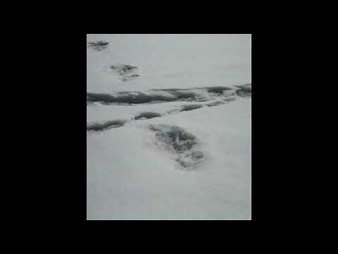 Army's mountaineering expedition team spots ‘Yeti’ footprints in Himalayas