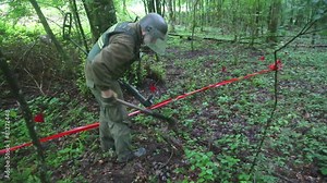 KUTINA, CROATIA - JUNE 2014: Man trying to detect mine in demining process in the middle of forest.