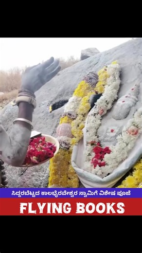 Flying Books on Instagram