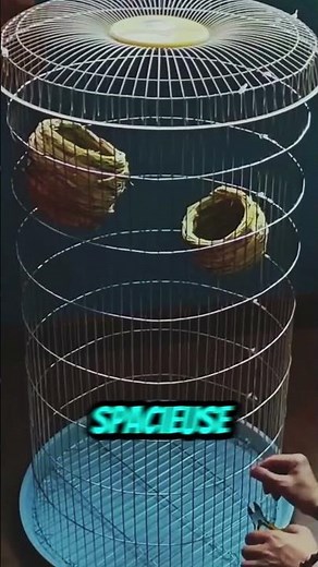 A homemade palace for your birds!